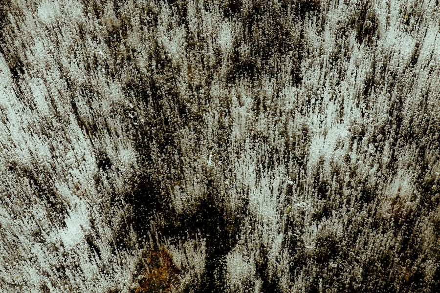 Abstracts