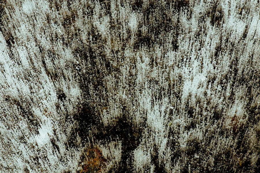 Abstracts photograph 2