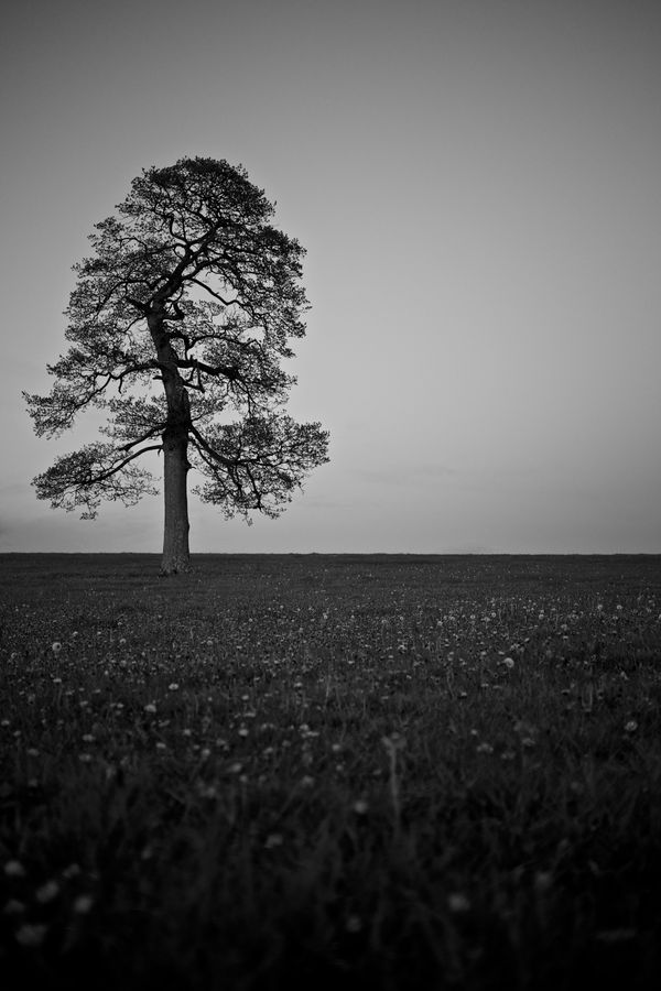 Black & White photograph 3