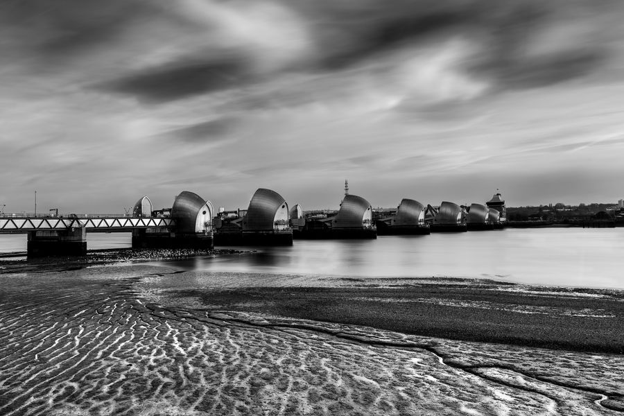 Black & White photograph 6