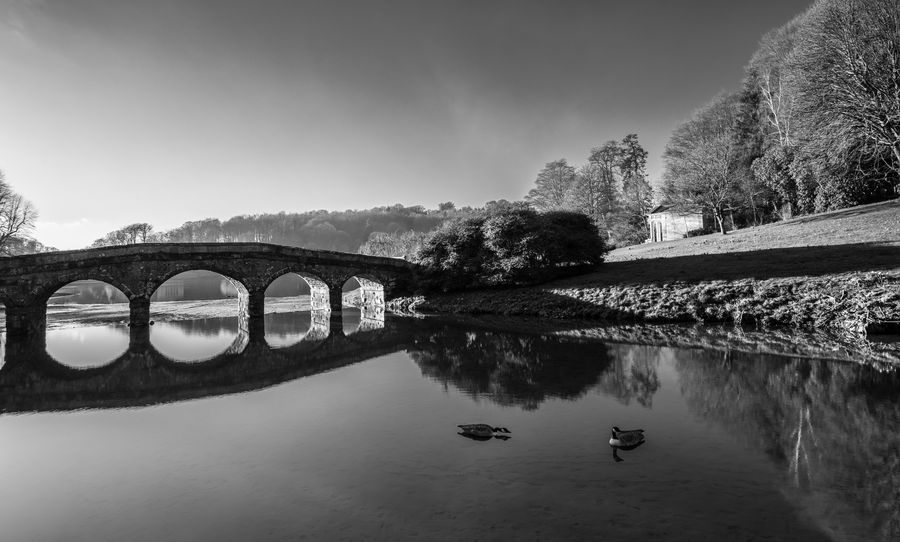 Black & White photograph 11
