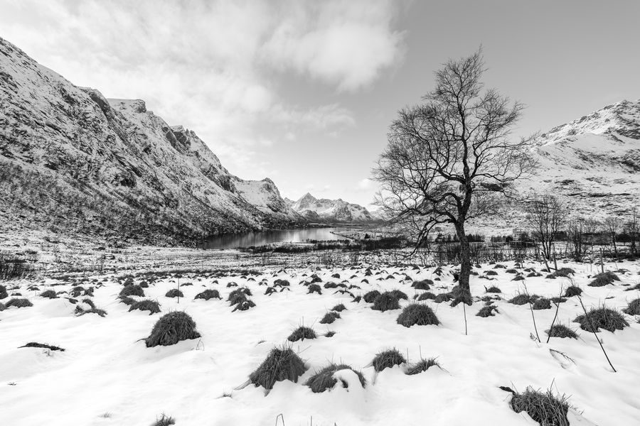 Landscapes photograph 9
