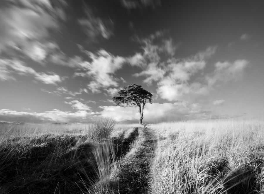 Landscapes photograph 17